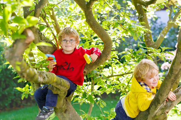 享受攀爬在树上的两个活跃小小孩男孩