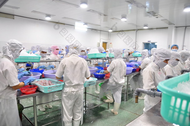 藩切、 越南-2014 年 12 月 11 日: 工人正在削皮的鱿鱼出口越南的海鲜厂