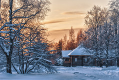 冬季木材中的木房子