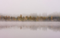 有雾的湖泊景观和树木在秋天姿彩