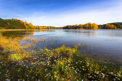 秋天的湖面