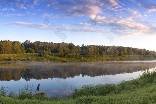 清晨景观河自然背景夏天概念