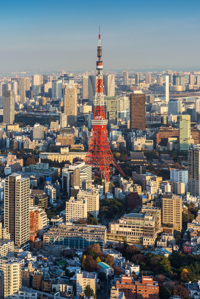 在日落时，日本东京城市景观与东京塔的天际线