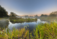 在有雾的早晨日出下沼泽河流系统