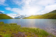 梦幻般的风景与花卉附近的湖泊在瑞士阿尔卑斯山, 欧洲。Wetterhorn、Schreckhorn、Finsteraarhorn 等 Bachsee。(放松, 和谐, 抗压力-概念). 