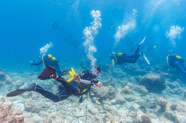 组的指南，马尔代夫的水下潜水者。