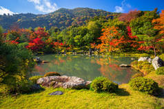 秋天的岚山天龙寺禅宗花园