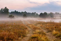 有雾的土路在夏天早晨河岸。雾霭的清晨，在夏天干了什么