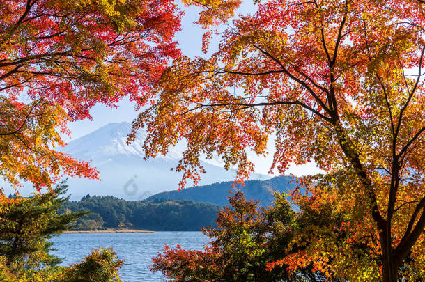 河口湖，<strong>富士山</strong>在秋天的季节