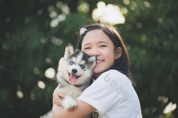 美丽的亚洲女孩和巴勒斯坦权力机构的西伯利亚哈士奇犬小狗一起玩