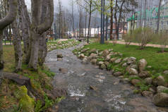 在公园里扎科帕内市的山间溪流