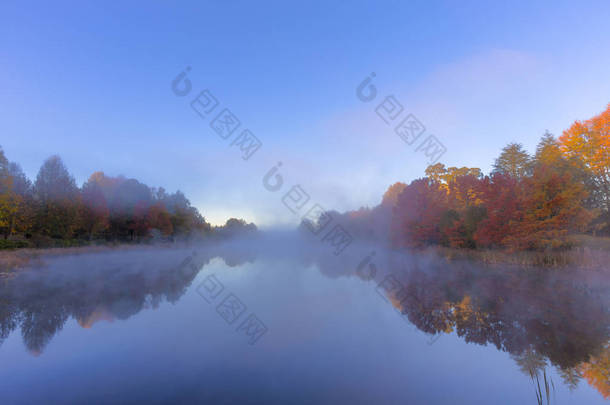 秋天的颜色树木和雾在水面上