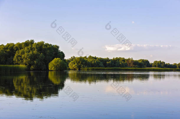 景观用水和植被在多瑙河三角洲，罗马尼亚