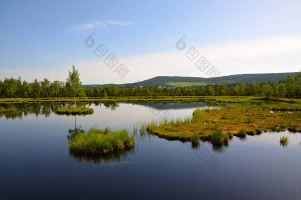 该视图与群岛 Chalupska 金属板之间舒马瓦山在捷克共和国的蓝天下森林湖