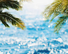 热带海滩与椰子树 