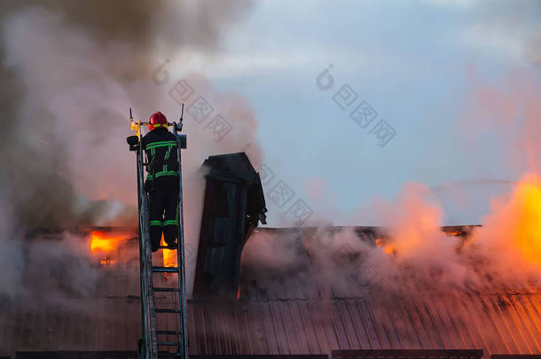 梯子上的消防员或消防员在公寓<strong>房顶</strong>上放烟雾扑灭燃烧的火焰.