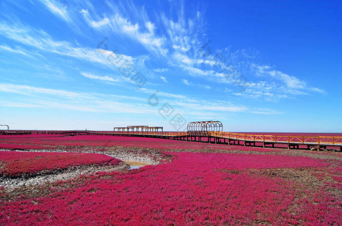 盘锦红海滩