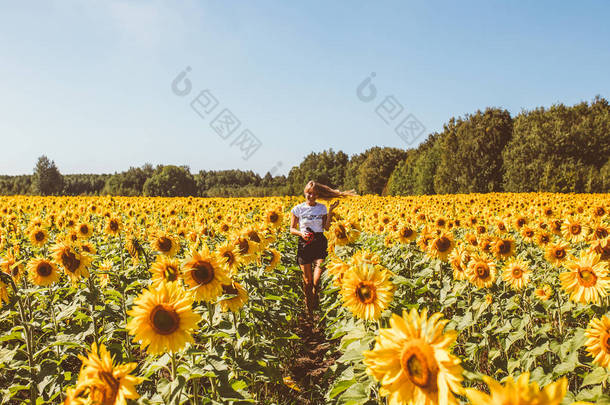 愉快的年轻妇女享受夏天在向日葵领域漫步在生长的植物之中 