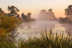 在一个平静的湖面上温柔多雾的早晨. 