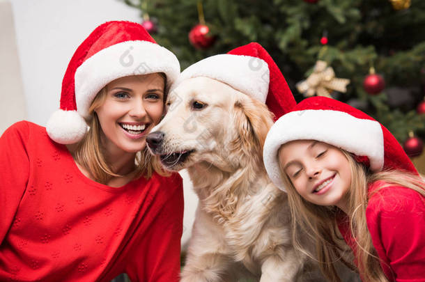 母亲、 女儿和狗在圣诞老人的帽子