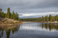一个美丽的秋天风景在湖的海岸在 Femundsmarka 国家公园在挪威。秋季季节风光.
