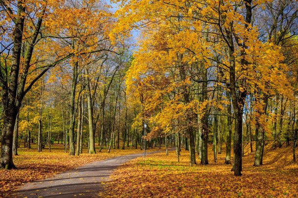 俄罗斯, 列宁格勒地区, Gatchina, Gatchina 公园