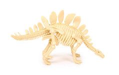 塑料玩具动物恐龙骨架在白色背景上隔离