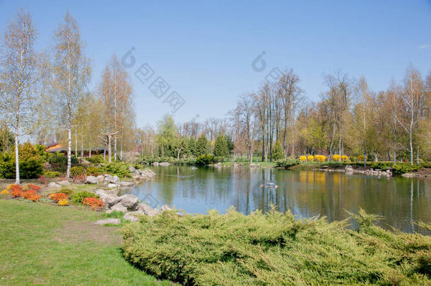 公园风景与池塘和房子在干净的蓝天之下