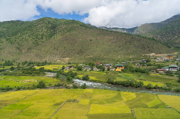 不丹的稻田和房屋
