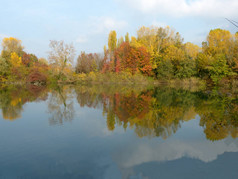伊塞奥湖边 Torbiere 的池塘里的秋天
