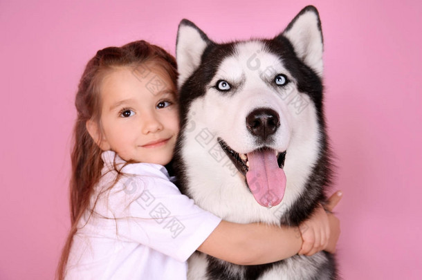 逗人喜爱的小女孩与爱斯基摩狗在颜色背景