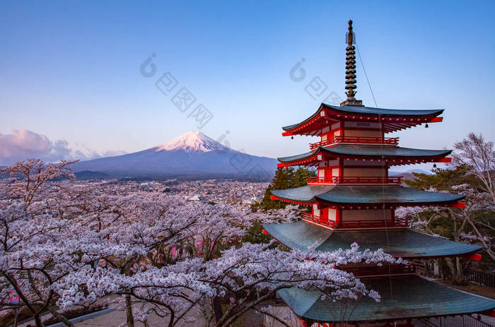 日本美丽风景富士山和樱花 sakur 与 Chureito 红色宝塔