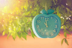 时间管理理念: 在室外花园的绿色树枝上悬挂闹钟。(软焦点)