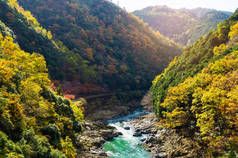 秋天的河和森林的山顶风景点, 美丽的秋天五颜六色在岚山, 京都, 日本