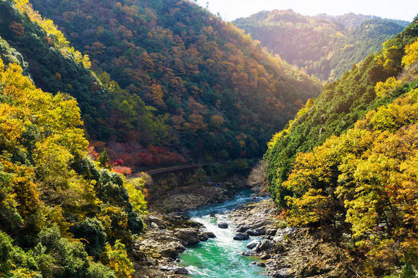 秋天的河和森林的山顶风景点, 美丽的秋天五颜六色在岚山, 京都, 日本