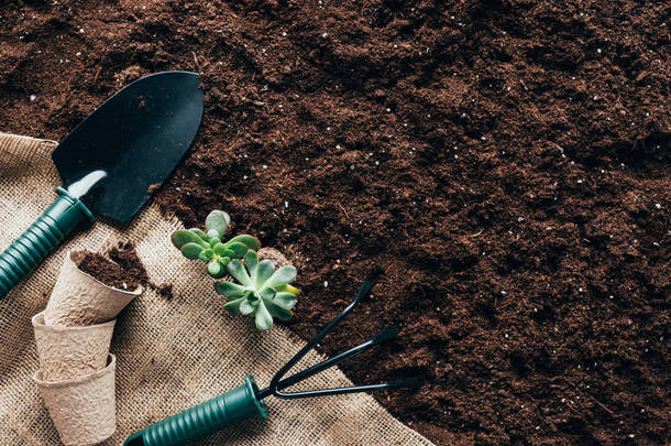 园艺工具, 花盆和绿色植物在土壤上的麻布的顶部视图