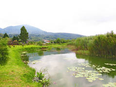 在巴厘岛拍摄的照片。巴厘岛 Beratan 湖