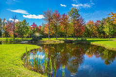 高尔夫旅游的概念。湖边的红、橙、绿秋叶 