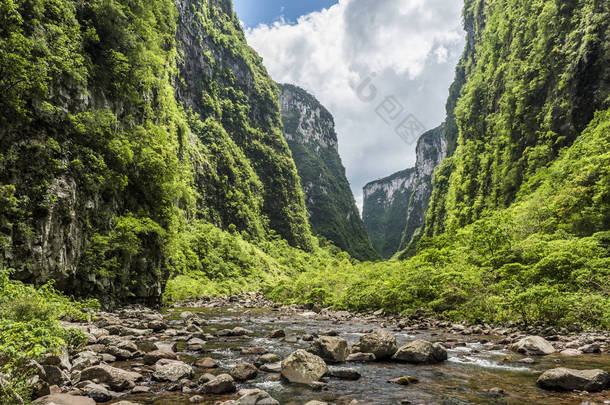 Itaimbezinho 峡谷内的大西洋雨林