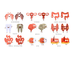 健康与不健康的人类器官分布图图