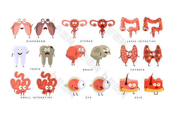 健康与不健康的人类器官分布图图