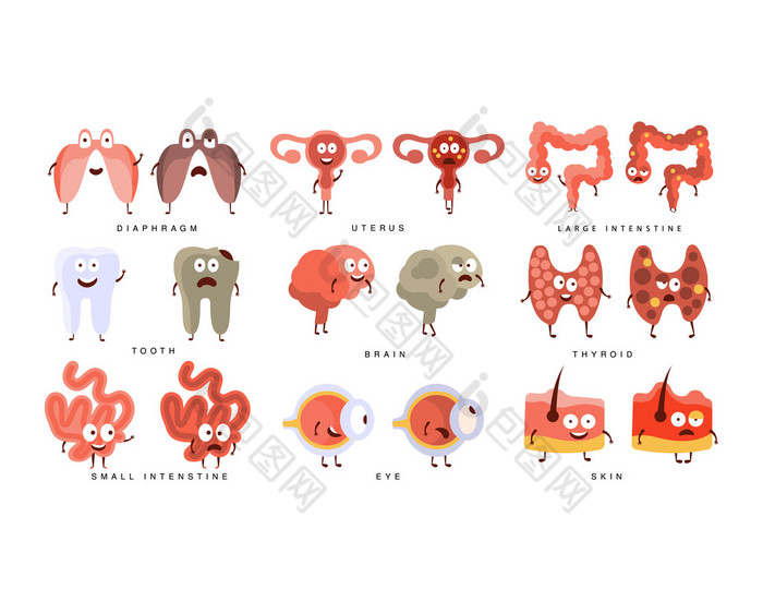健康与不健康的人类器官分布图图