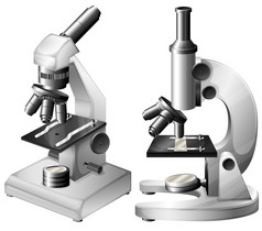显微镜；显微镜