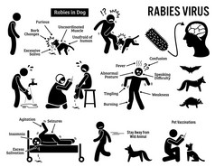 狂犬病病毒在人类和动物的棒图象形图图标