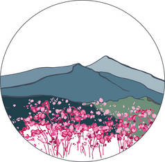 韩国的风景。韩国山。在山上盛开的杜丽花。奇里桑山
