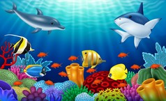 美丽的水下世界，有珊瑚和热带鱼.