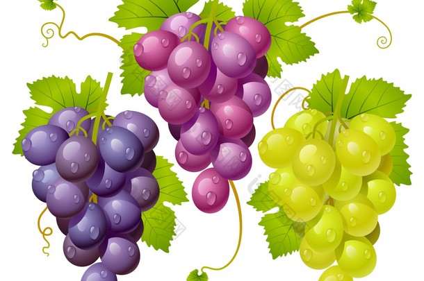 三个集群的葡萄