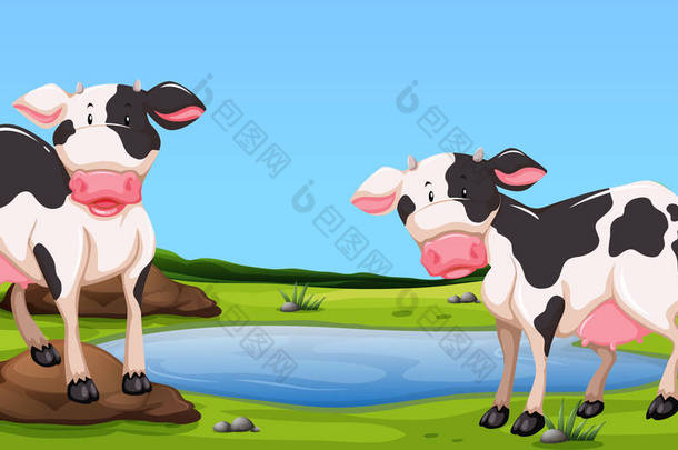 站在院子里的两个奶牛