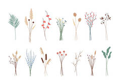 集各种美丽的草本植物花束,热带树叶,盛开的花朵.采集开花或干植物，植物标本。装饰，花卉设计元素。孤立的图解.