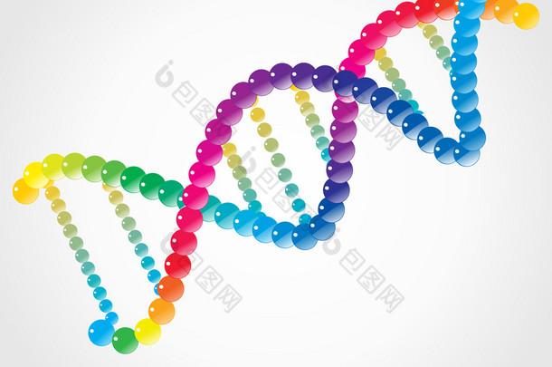 dna <strong>螺旋</strong>，孤立在<strong>白色</strong>